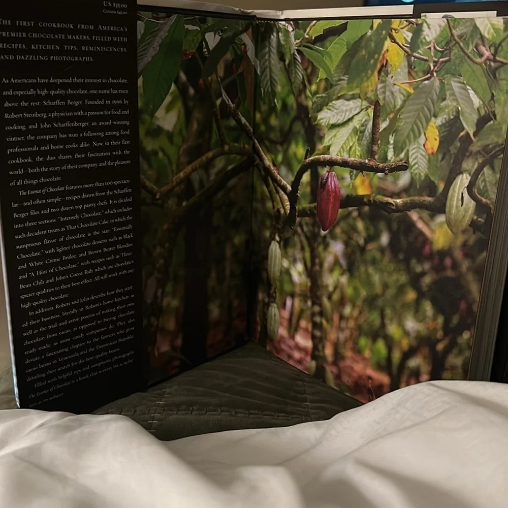 The Essence of Chocolate - Recipes for Baking & Cooking with fine chocolate